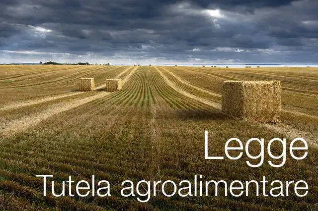 DdL Tutela Agroalimentare: approvato in via definitiva dalla Camera
